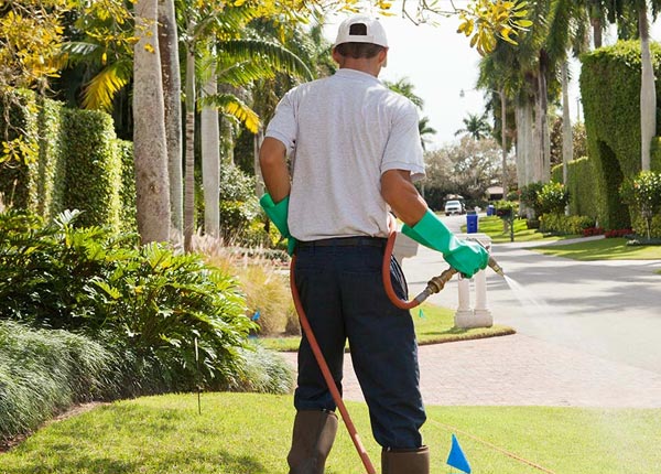 About Arpin WI Pest Control